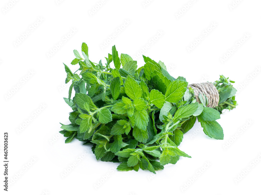Bunch of fresh mint isolated on white Bunch of fresh mint isolated on white