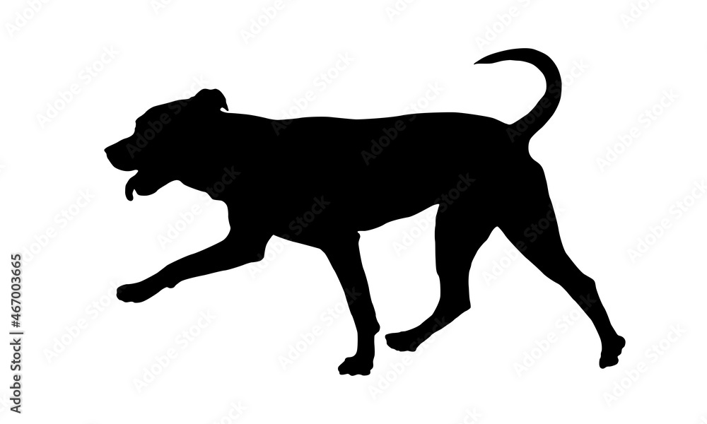 Running american pit bull terrier puppy. Black dog silhouette. Pet animals. Isolated on a white background. Vector illustration.