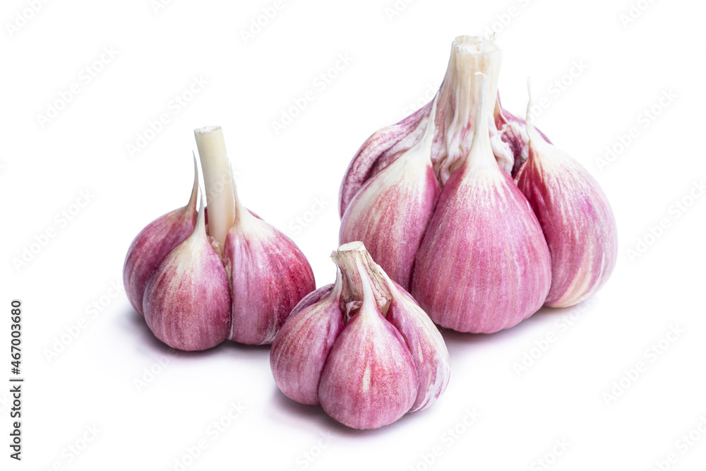 Fototapeta premium Fresh garlic bulbs isolated on white
