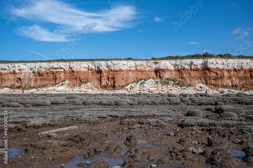 Boulders  or stones arranged in straight lines covered in mussels and barnacles at Hunstanton Beach  Norfolk