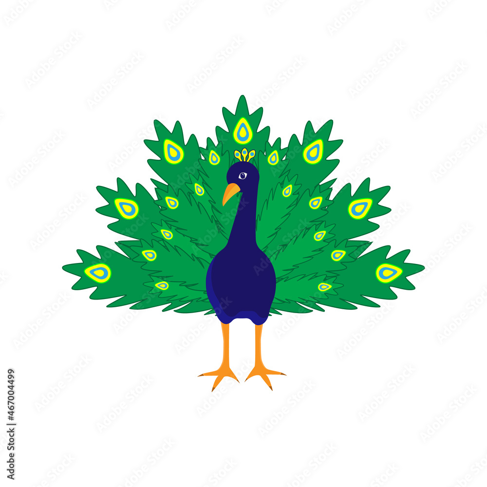 cheerful cartoon peacock on a white background, vector illustration