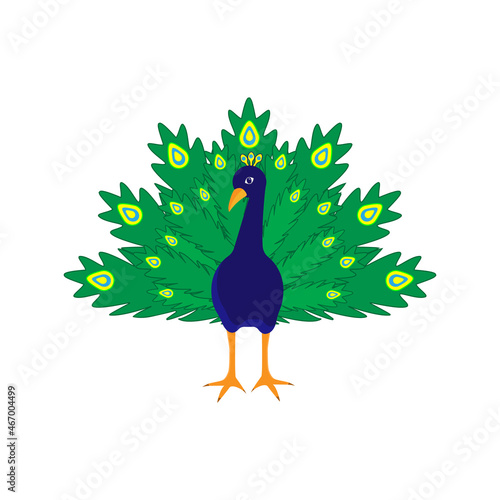 Obraz na płótnie cheerful cartoon peacock on a white background, vector illustration w salonie