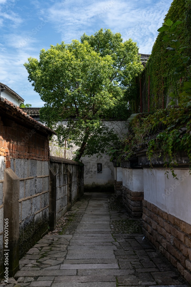 Chinese old stone slab street with trees