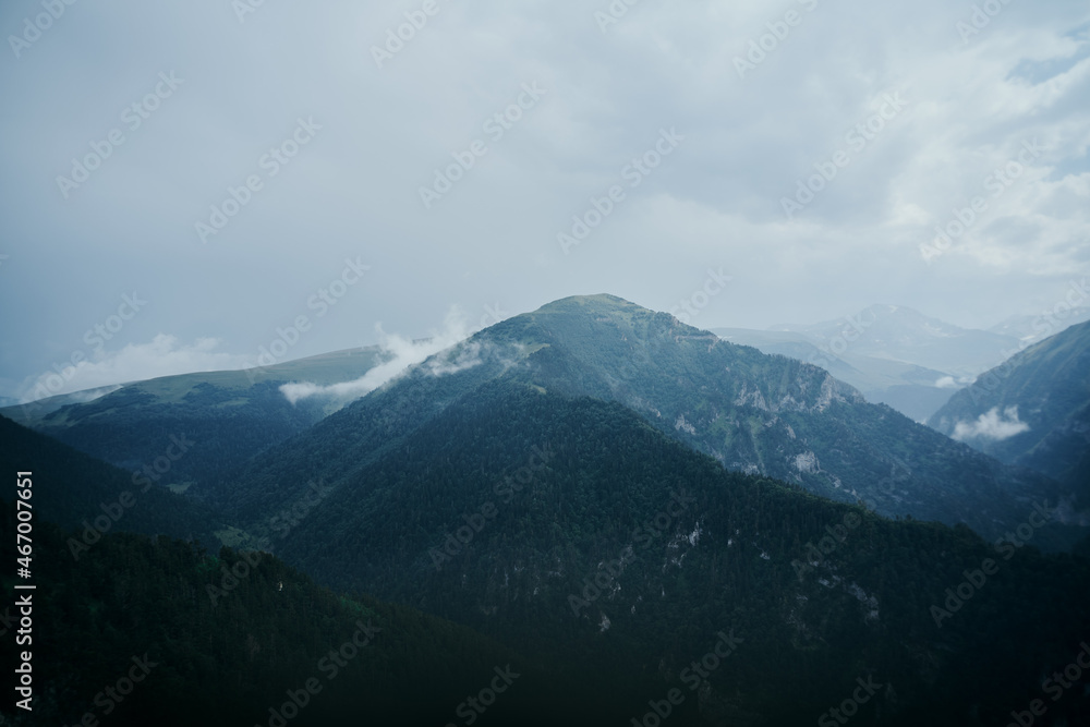 field flowers mountains travel adventure nature freedom field flowers mountains travel adventure nature freedom