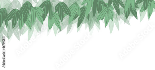 Floral web banner with drawn color exotic leaves. Nature concept design. Modern floral compositions with summer branches. Vector illustration on the theme of ecology, natura, environment