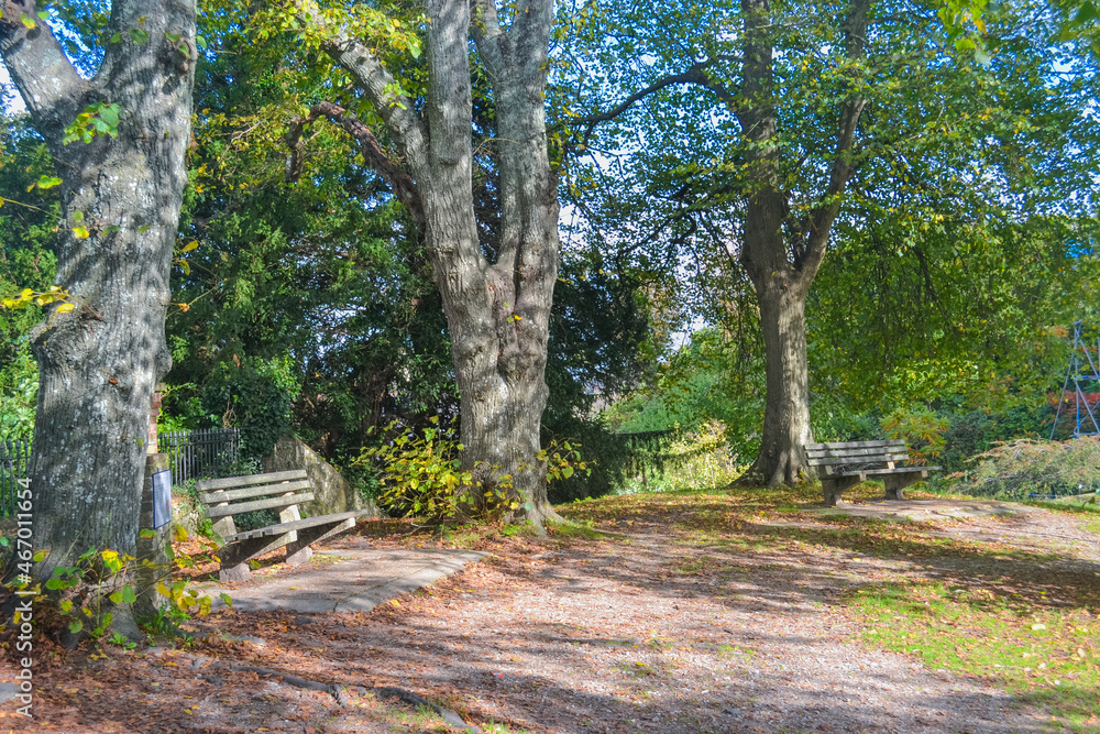 A small square and trees yellowing from autumn and a bench for rest A small square and trees yellowing from autumn and a bench for rest