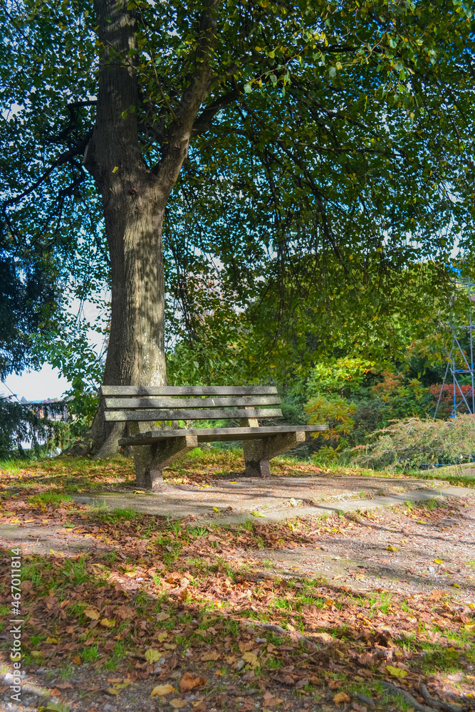 A small square and trees yellowing from autumn and a bench for rest A small square and trees yellowing from autumn and a bench for rest