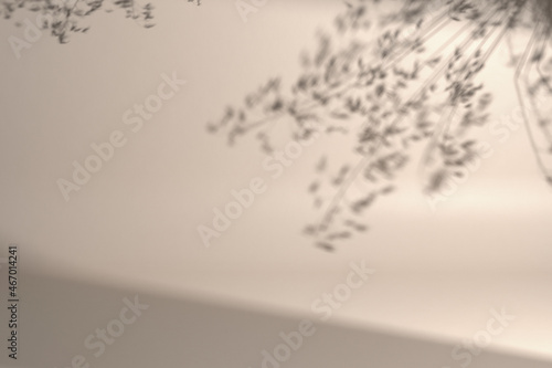 Modern natural blurry background with natural soft light and plant leaves shadows. 3d illustration for brand identity banner with bio, beauty, Cruelty Free concepts. Perfect for product presentation