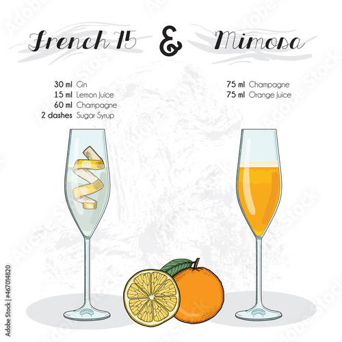 Hand Drawn Colorful French 75 and Mimosa Cocktail Drink Ingredients Recipe