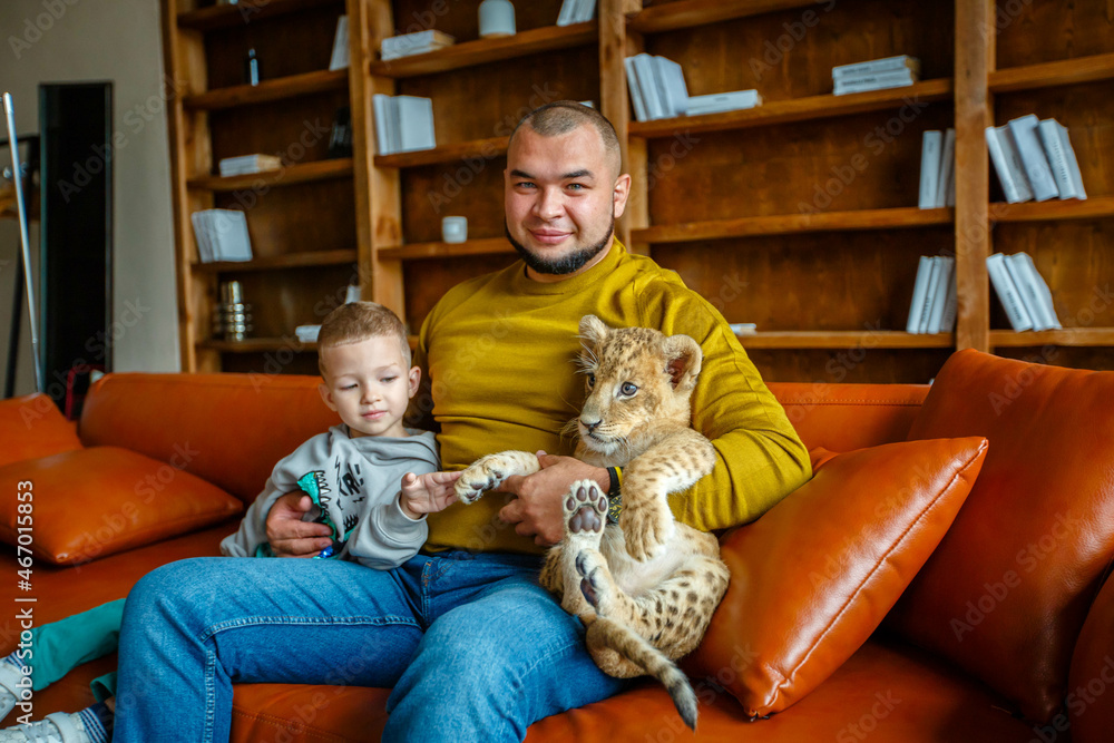 Obraz premium Father and son play with little lion cub in the room