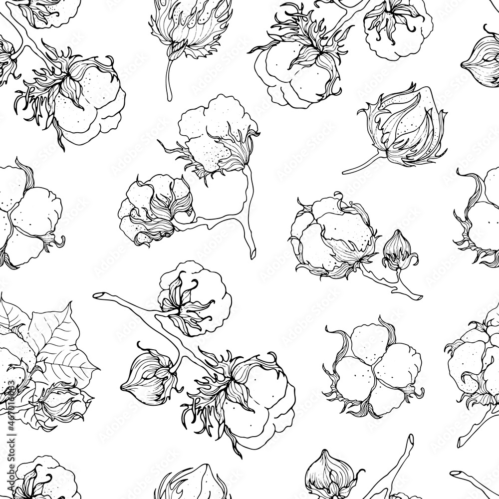 Cotton flower. Seamless monochrome pattern on a white background. Hand drawn, vector illustration. Cotton flower. Seamless monochrome pattern on a white background. Hand drawn, vector illustration.