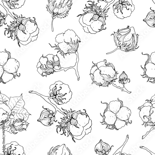 Cotton flower. Seamless monochrome pattern on a white background. Hand drawn, vector illustration.