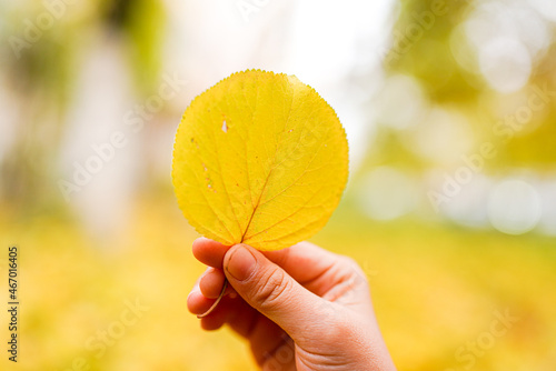 Little yellow leaves on children s hands in autumn