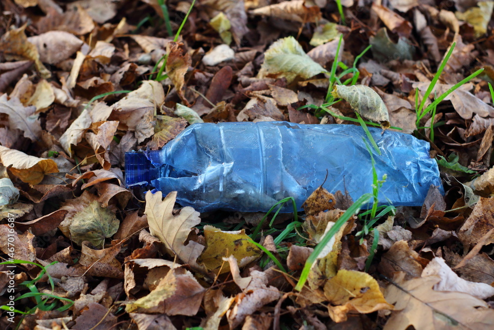 Plastikowa butelka w lesie jako przykład śmieci - obrazy, fototapety, plakaty 