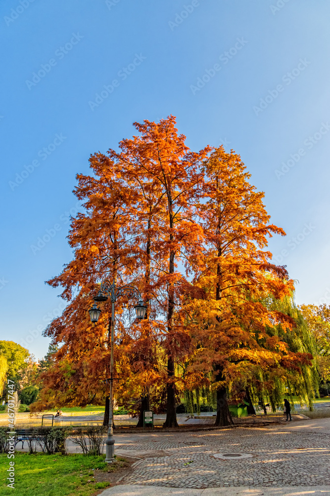 Naklejka premium Danube Park or (Serbian: Dunavski Park) is an urban park in the downtown of Novi Sad. 