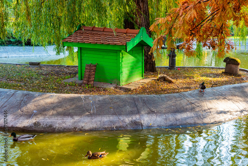 Danube Park or (Serbian: Dunavski Park) is an urban park in the downtown of Novi Sad.  photo