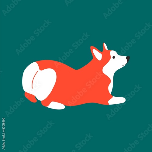 Funny cartoon corgi dog. Pembroke cute welsh corgi, sitting smiling abstract puppy. Vector isolated illustration