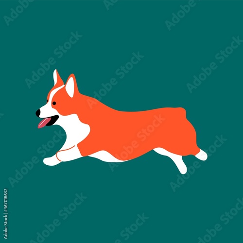 Funny cartoon corgi dog. Pembroke welsh corgi, running smiling abstract cute puppy. Vector isolated illustration