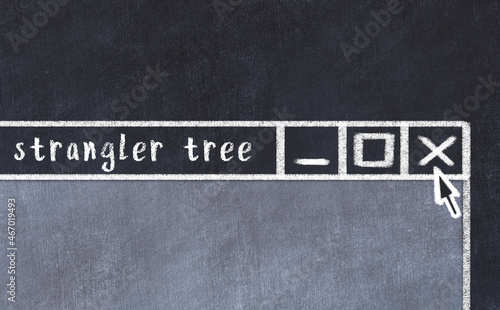 Chalk drawig of browser window with inscription strangler tree photo