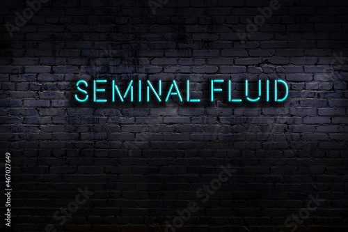 Fotografi Night view of neon sign on brick wall with inscription seminal fluid