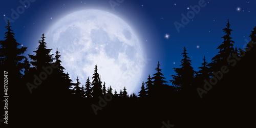 DÉCOR DE PLEINE LUNE ET SILHOUETTES DE SAPINS