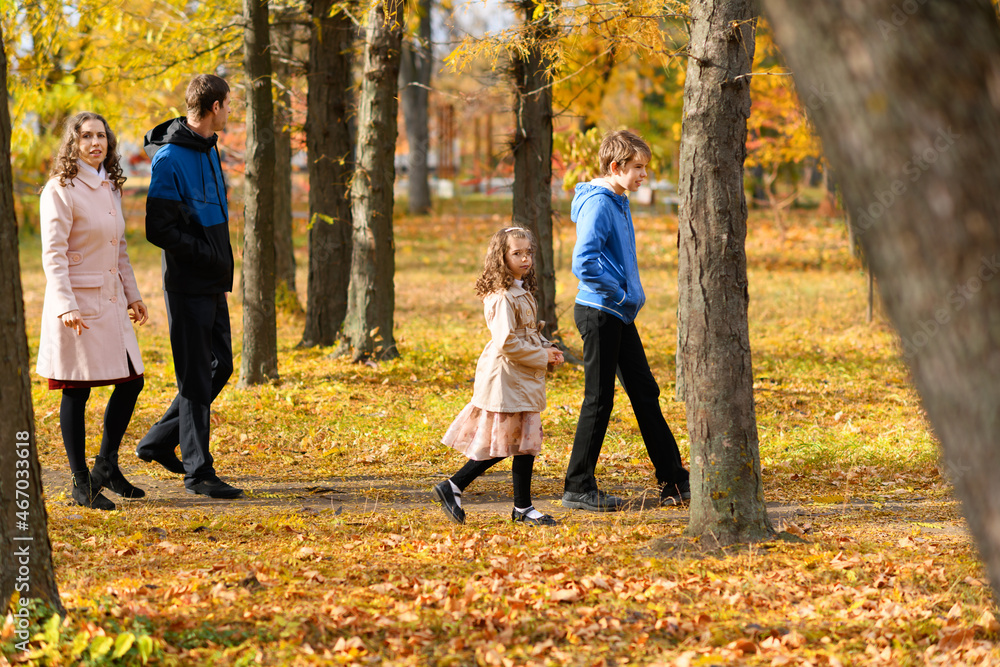 Family walks in the autumn park along the path. A beautiful nature and trees with yellow leaves. Bright sunlight. Family walks in the autumn park along the path. A beautiful nature and trees with yellow leaves. Bright sunlight.