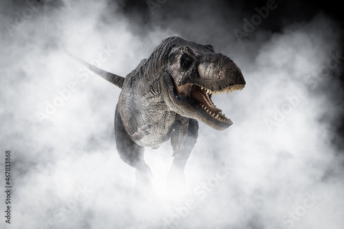 Fototapeta Naklejka Na Ścianę i Meble -  Tyrannosaurus T-rex ,dinosaur on smoke background
