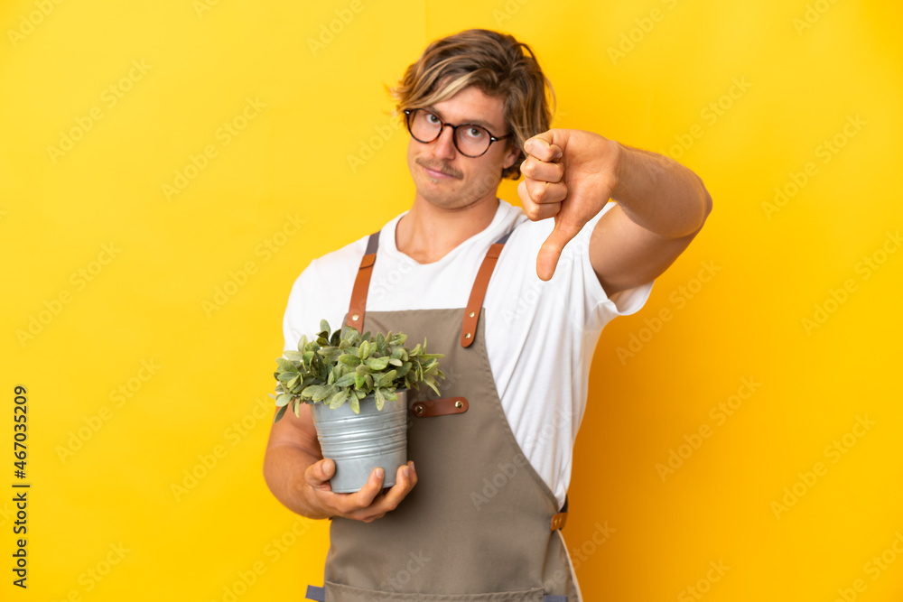 Gardener blonde man holding a plant isolated on yellow background showing thumb down with negative expression Gardener blonde man holding a plant isolated on yellow background showing thumb down with negative expression