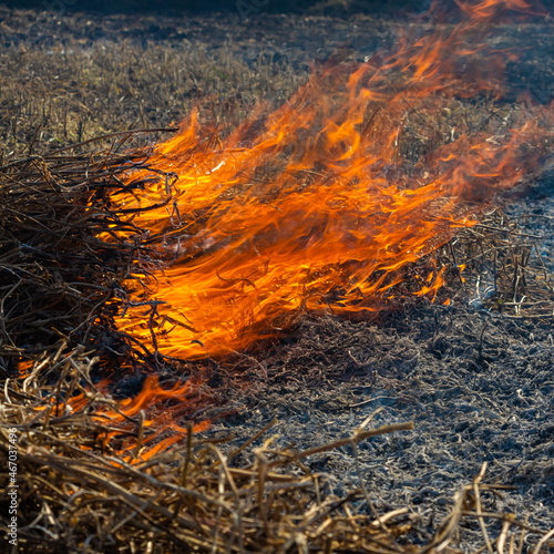 Close-up background of fire is rising from burning straw to black ash and smoke