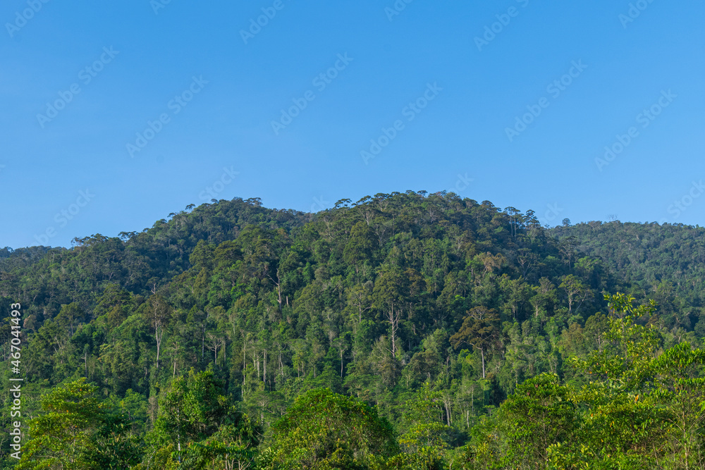 green tropical hill and clear blue sky at bright sunny day