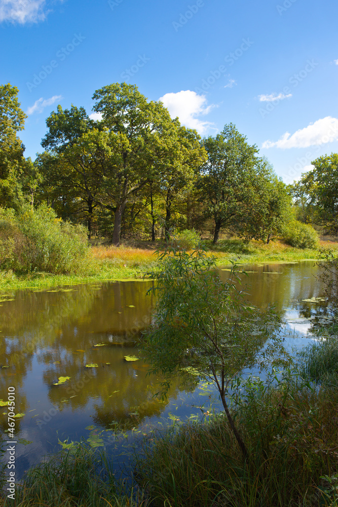 Beautiful view of the river on a bright sunny autumn day. Sluch .Belarus