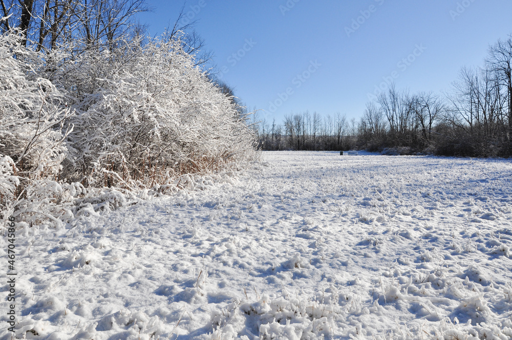 Obraz premium plain meadow covered in snow