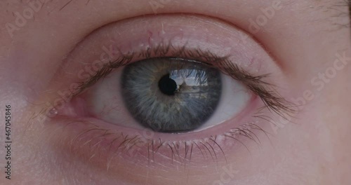 Close Up of a Woman's Blue Eye photo