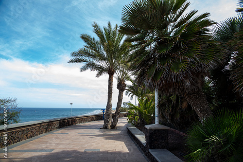 walkway and promenade by the ocean with palm trees © Follow the Sun