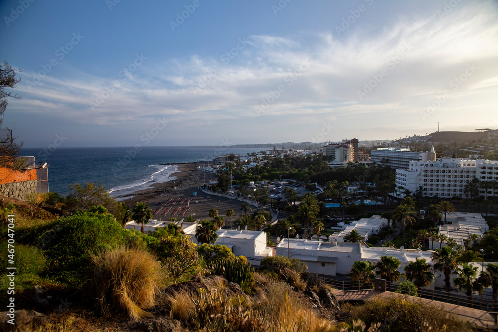 Fototapeta premium gran canaria ocean view 