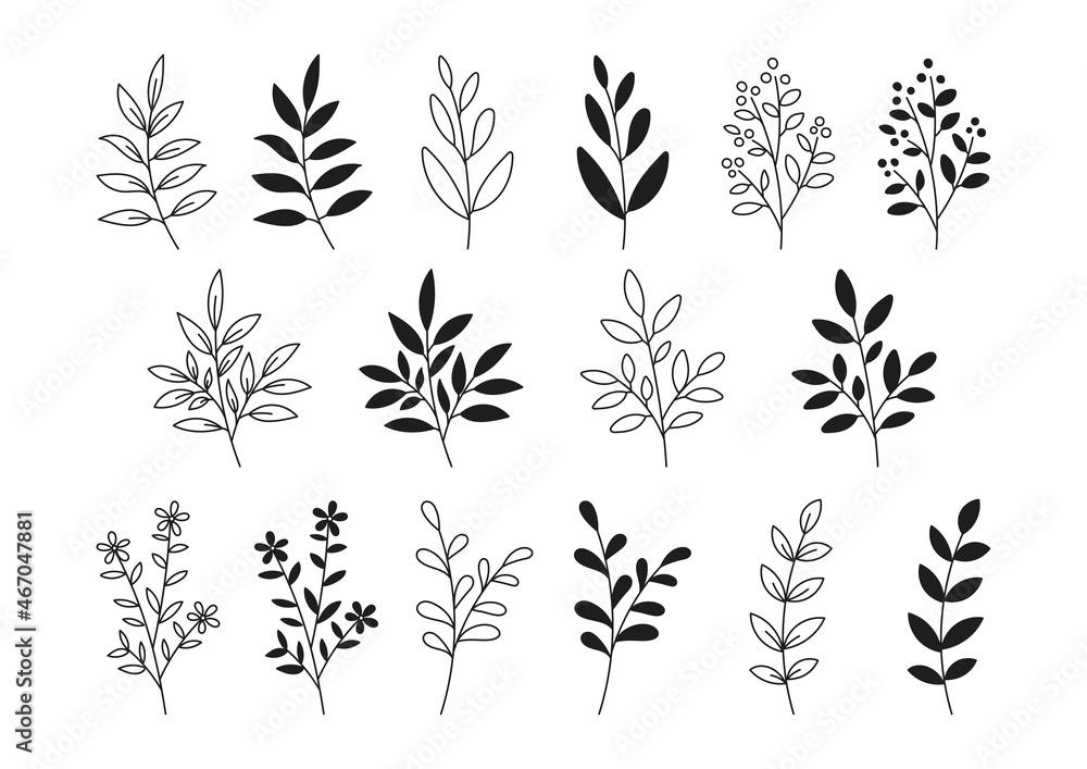 植物の線画とシルエットのイラスト素材 モノクロ Stock ベクター Adobe Stock
