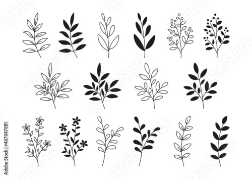 植物の線画とシルエットのイラスト素材 モノクロ