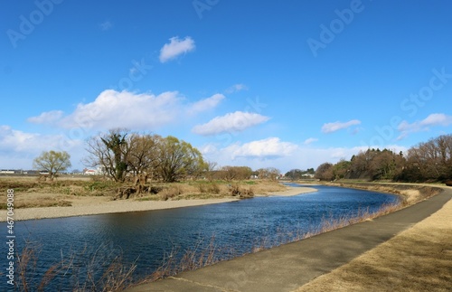 Fototapeta Naklejka Na Ścianę i Meble -  気持ち良い河川沿いを歩く　風景　初春