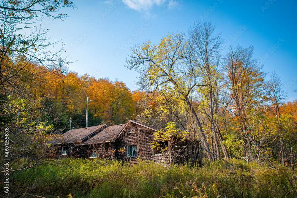 An old home sits abandoned in an Autumn-coloured forest near Boyne Valley, Ontario on a bright and sunny October day. An old home sits abandoned in an Autumn-coloured forest near Boyne Valley, Ontario on a bright and sunny October day.