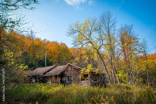 An old home sits abandoned in an Autumn-coloured forest near Boyne Valley, Ontario on a bright and sunny October day. © John