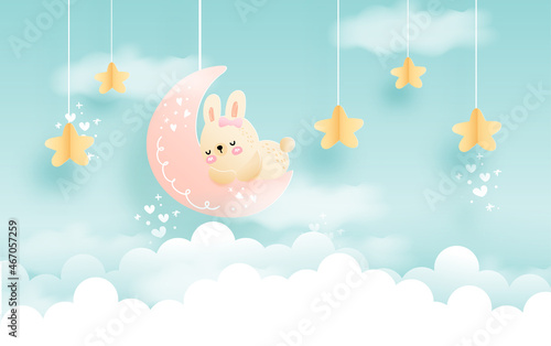 baby rabbit sleeping on half moon