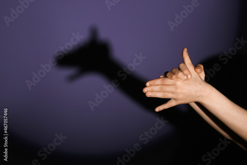 Child making shadow dog with his hands on dark color background