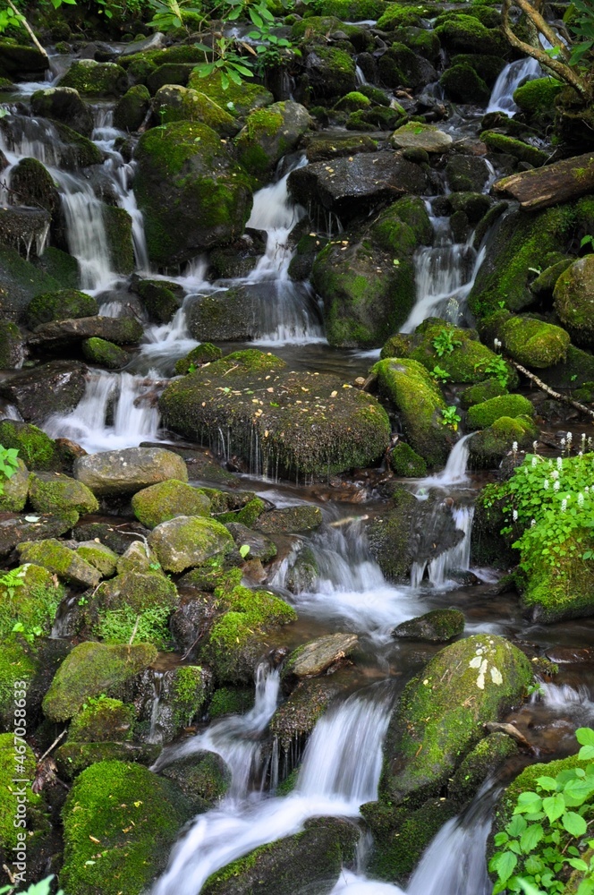 River of water streaming through rocks covered in moss River of water streaming through rocks covered in moss