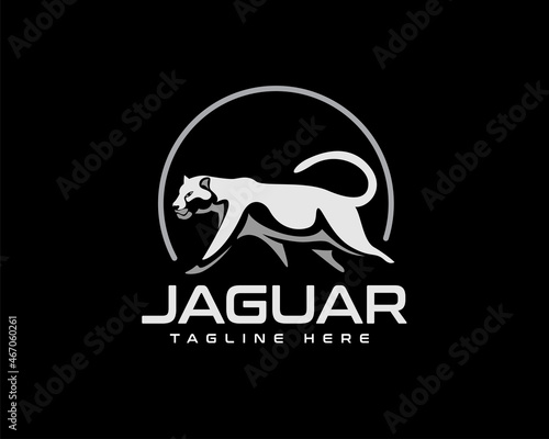 walking jaguar cat lion panther leopard drawn art black background logo template illustration