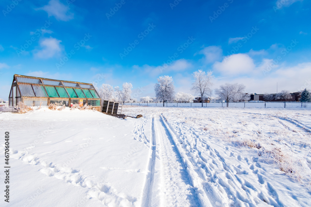 Winter 25 Winter 25