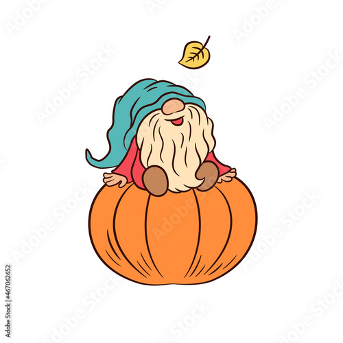 Little gnome sitting on a big pumpkin. Thanksgiving greeting graphic design. Adorable gnome funny hat vector illustration. Fall leaf. Autumn harvest thanksgiving day graphics. Swedish gnome Tomte.
