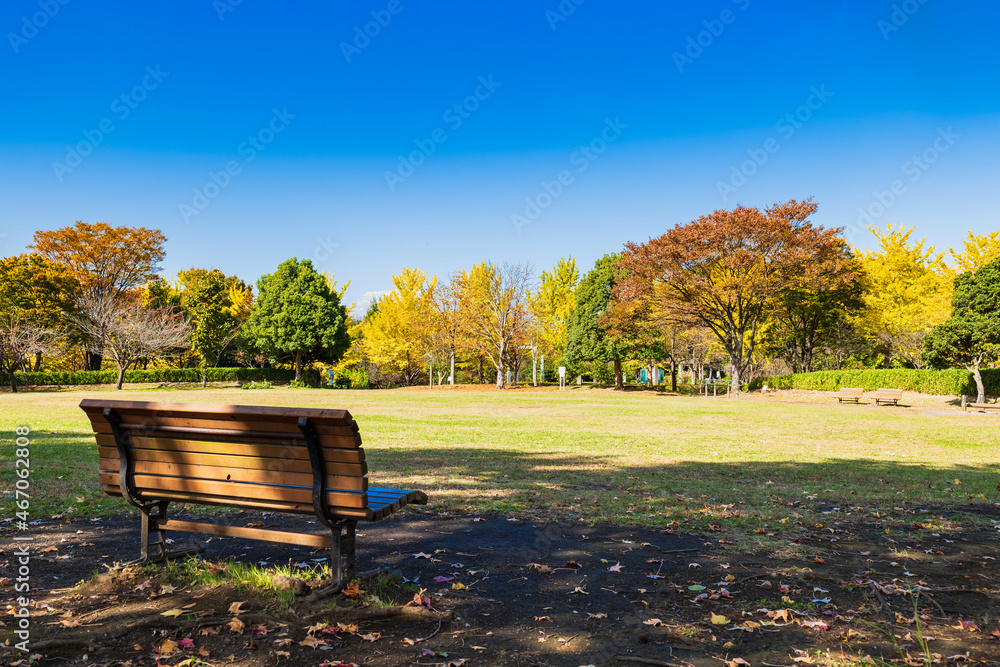 郊外の住宅地 秋の公園 郊外の住宅地 秋の公園