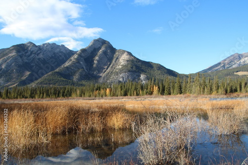 lake in the fall, Banff National Park, Alberta