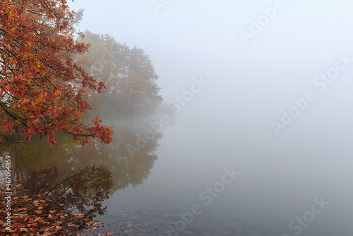 Misty foggy autum on a small lake