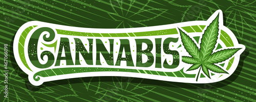 Vector banner for Cannabis, horizontal sign board with illustration of cannabis leaf and decorative flourishes, add coupon with unique brush lettering for word cannabis on marijuana leaves background.